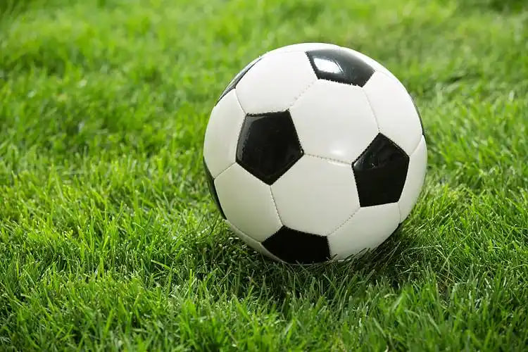 足球教练战术研究场景